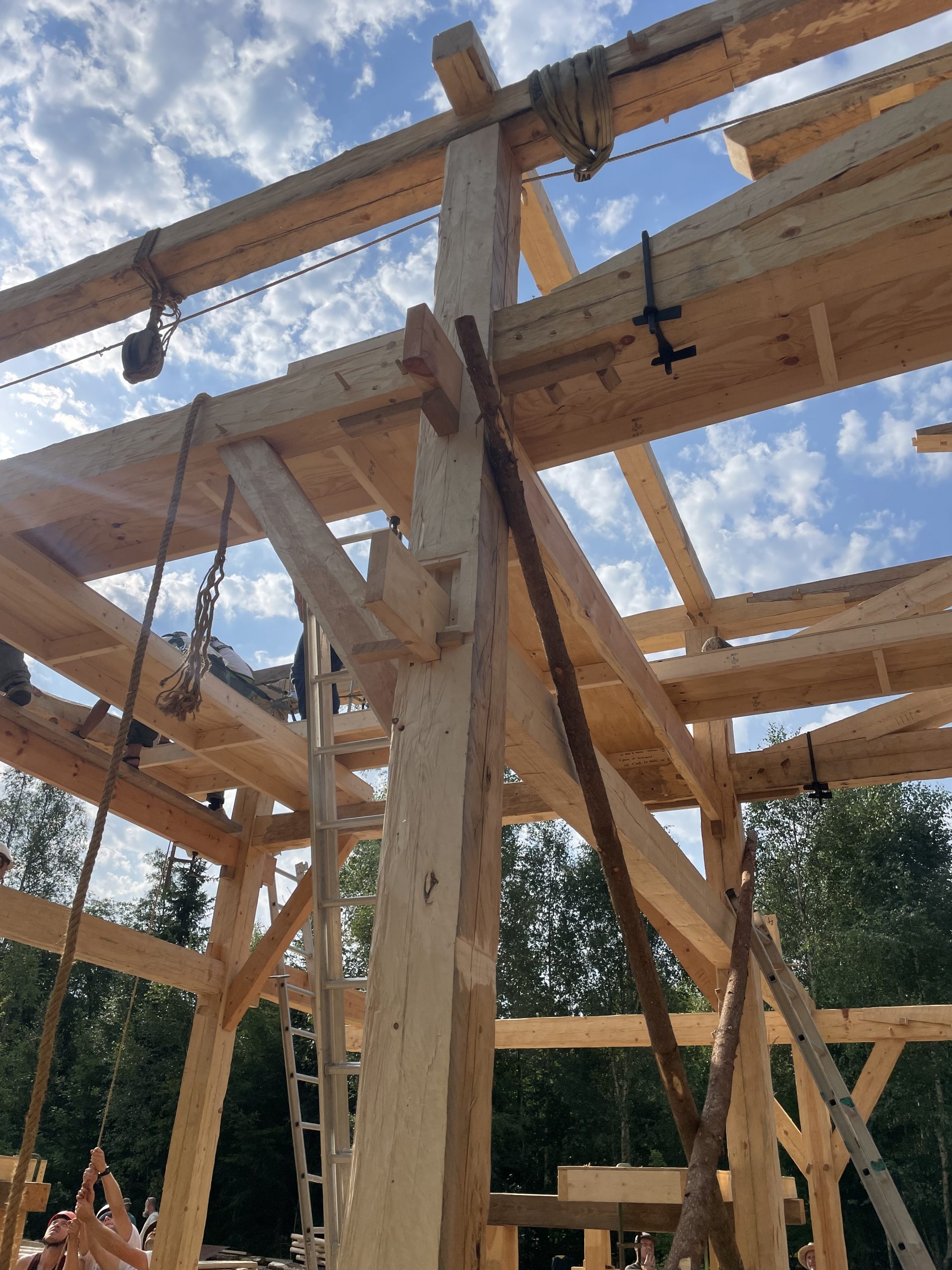 Charpente bois - Montjean-sur-Loire (49)